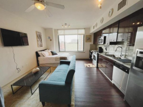 Charming Studio in Downtown Silver Spring MD